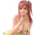 穗乃果(穗香（《死或生5：最后一战》中的角色）)