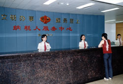 税收效率 税收效率