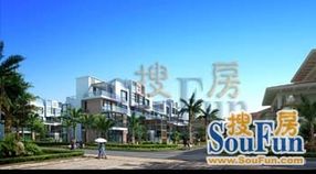 花和小城 花和小城
