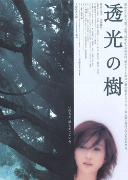 秋吉久美子 秋吉久美子
