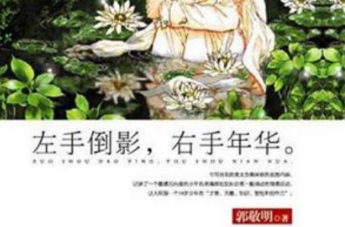左手倒影·右手年华