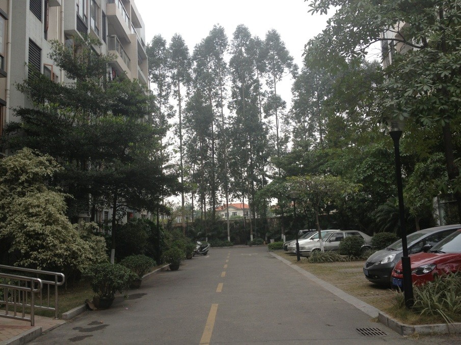 玉兰苑A栋 玉兰苑A栋