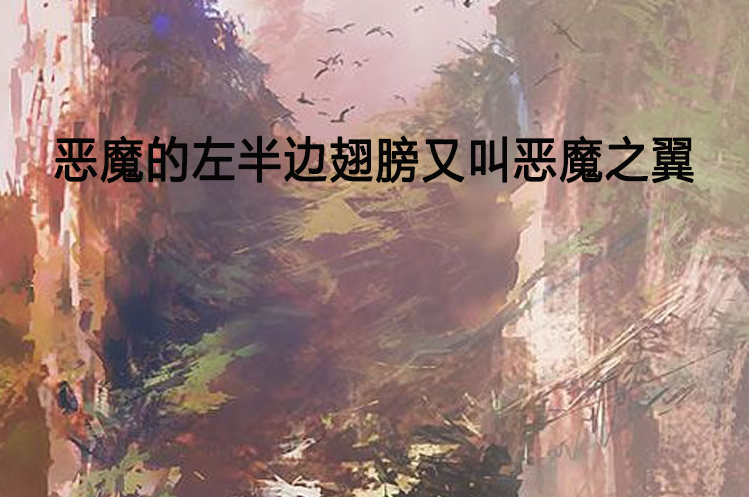 恶魔的左半边翅膀又叫恶魔之翼