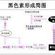 黑色素细胞自毁