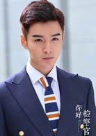 你好检察官(2019年崔亮执导电视剧)