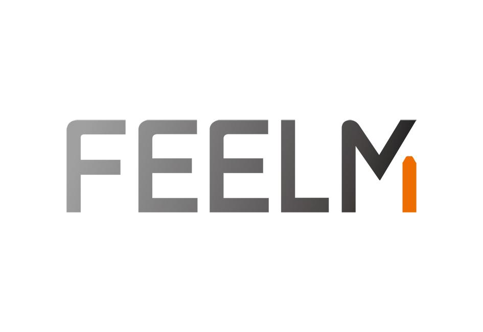 FEELM