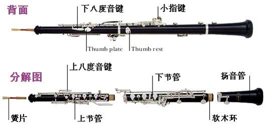 双簧管结构组成 双簧管结构组成