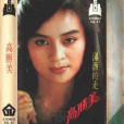 雨夜情(高胜美演唱歌曲)