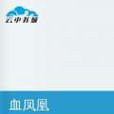血凤凰(网路小说)