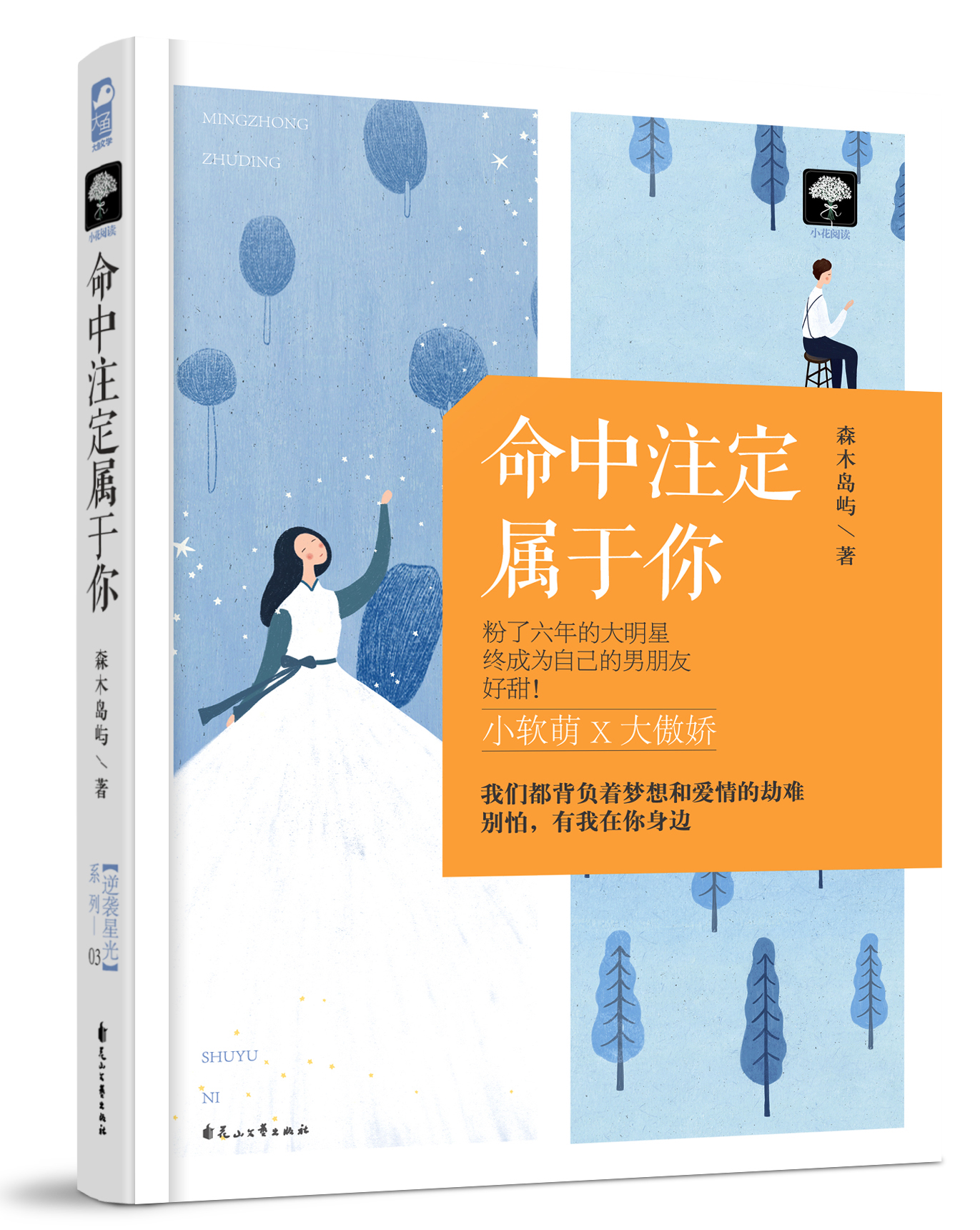 命中注定属于你