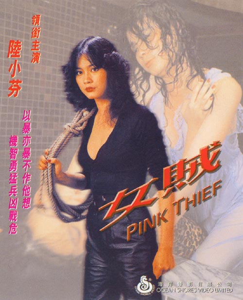 女贼(1982年岳千峰执导的台湾电影)