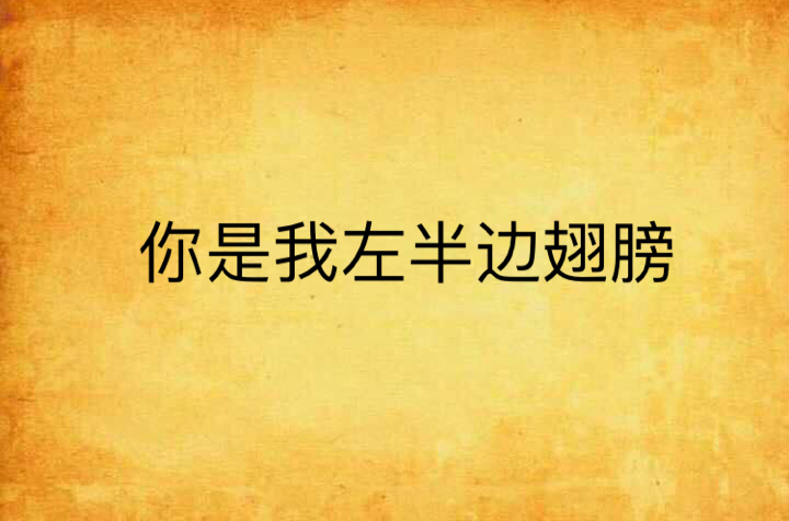 你是我左半边翅膀