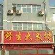 野生大鱼坊（齐鲁园店）
