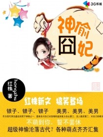神偷囧妃 神偷囧妃