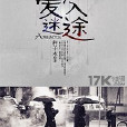 爱入迷途