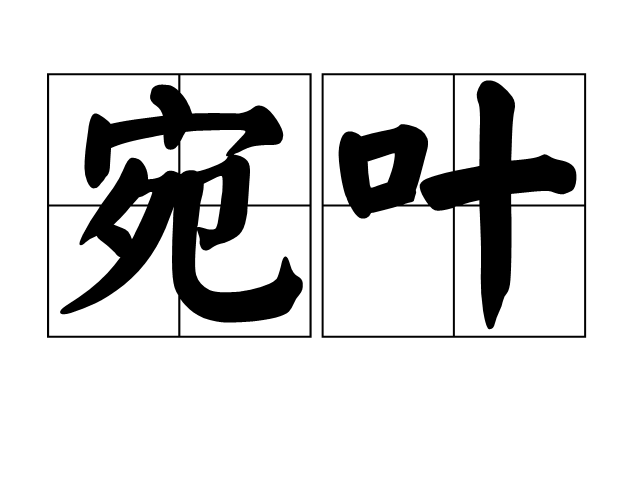 宛叶
