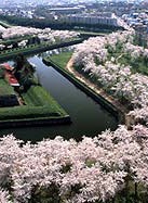 里见浩太朗