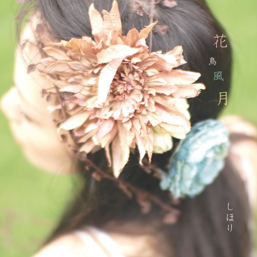花鸟风月 花鸟风月