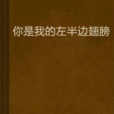 你是我的左半边翅膀