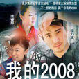 我的2008(2008年由张皓岚、林楠执导的电视剧)