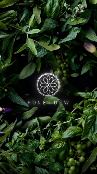 honeydew