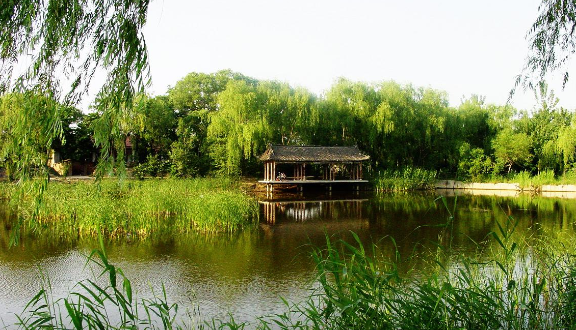 马踏湖旅游区 马踏湖旅游区