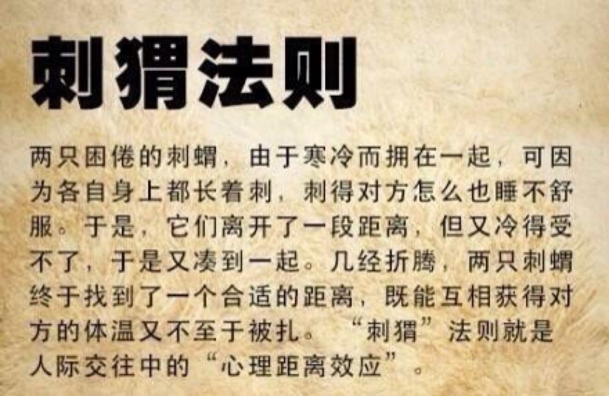 刺猬法则 刺猬法则