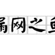 漏网之鱼(汉语词语)