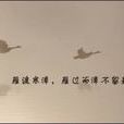 雁过寒潭