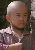 毛泽东的故事(1992年韩三平执导电影)