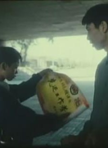 叶静(中国大陆演员)