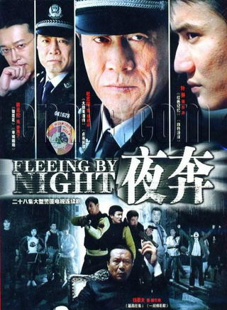 叶静(中国大陆演员)