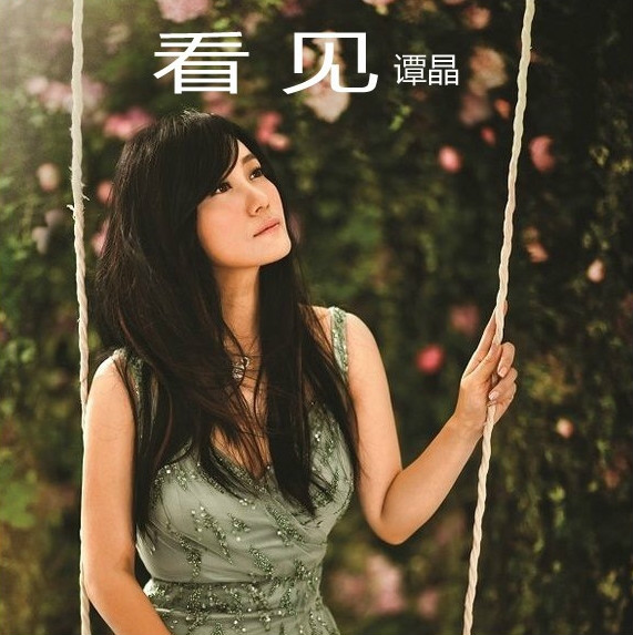 看见(谭晶演唱歌曲)