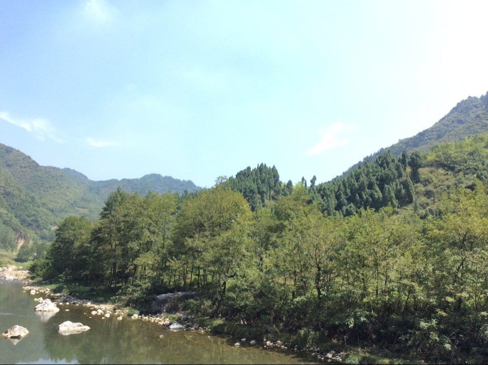 卧龙茶业基地周边 卧龙茶业基地周边