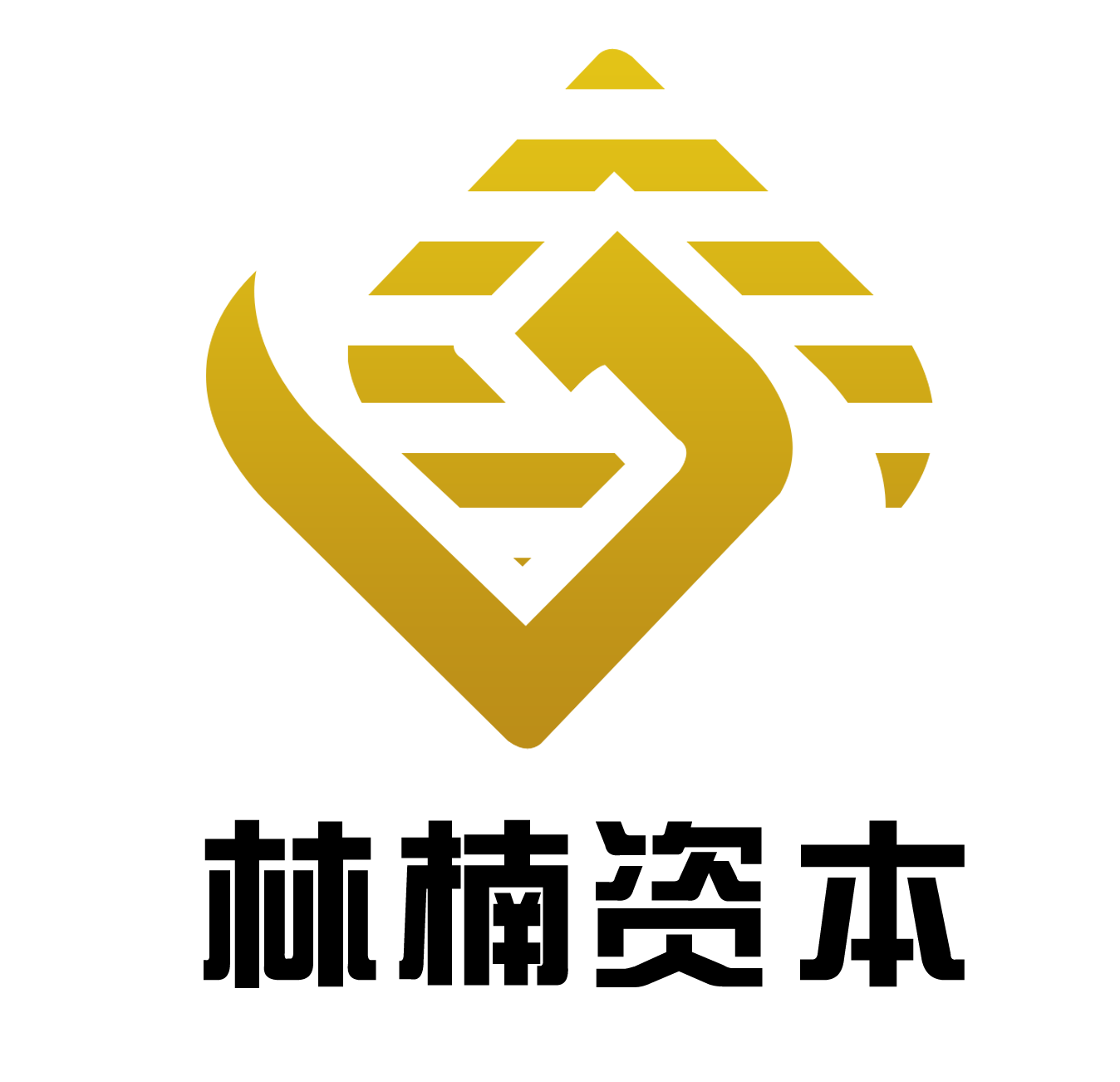 北京林楠投资有限公司