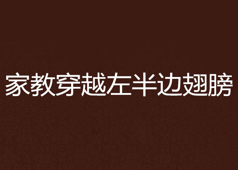 家教穿越左半边翅膀