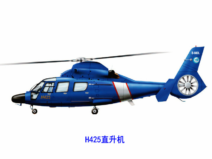 H425 H425