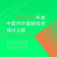 2012年度中国对外直接投资统计公报
