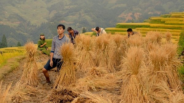 爱是永恆(电影) 爱是永恆(电影)