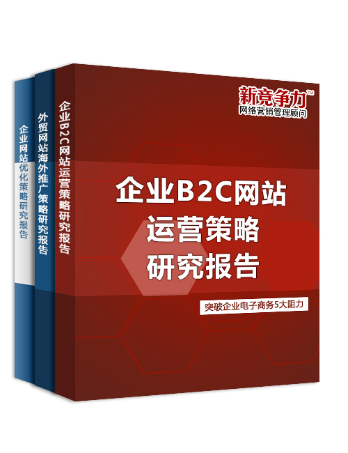 企业B2C网站运营策略研究报告