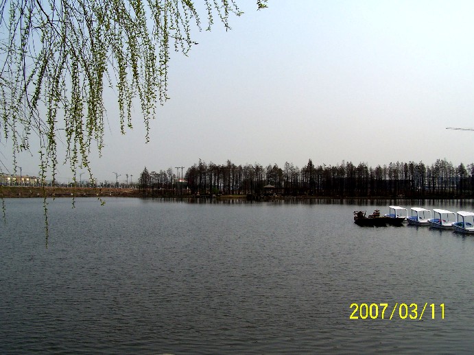 金银湖街道 金银湖街道