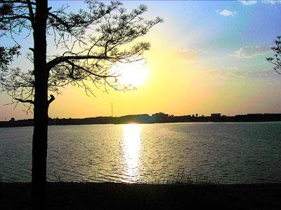铜山森林公园 铜山森林公园