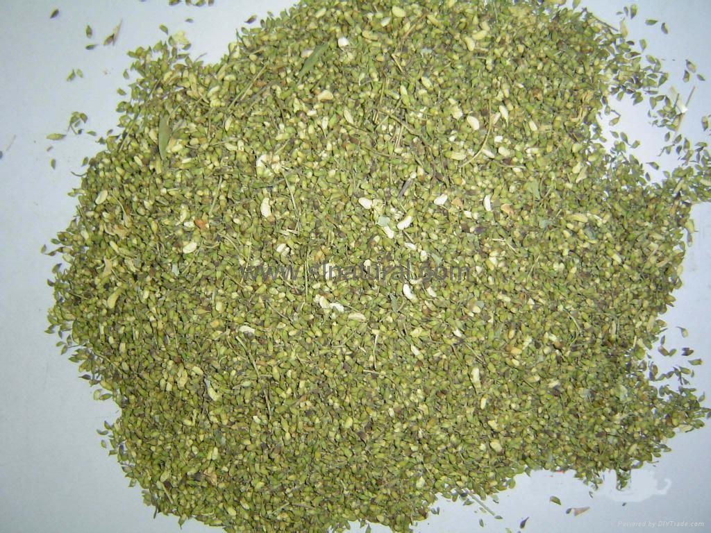 槐米 槐米