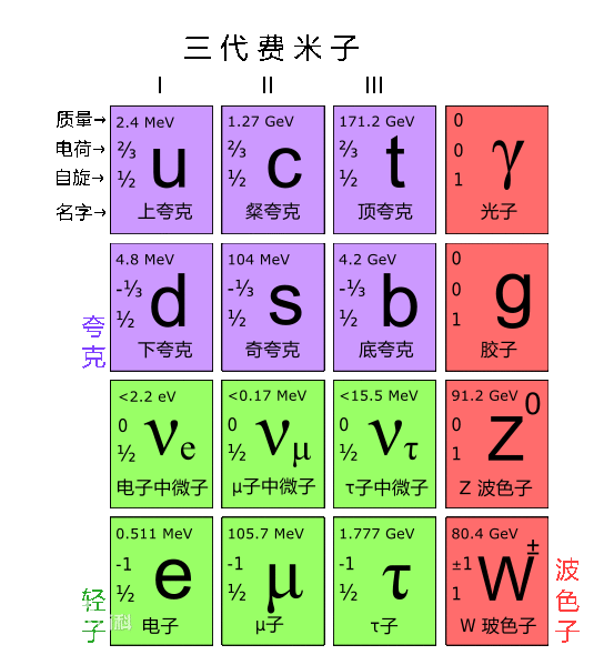 费米子 费米子