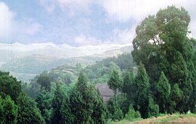 西充县(西充)