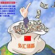 外汇储备风险