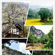 开阳县(开阳（贵州省贵阳市下辖的县）)