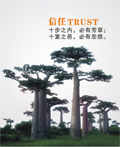信任 信任