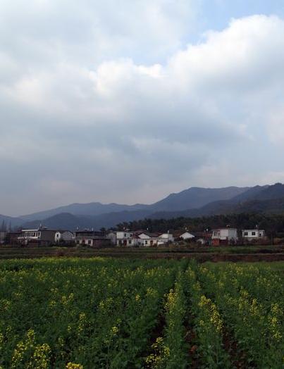 林泉乡