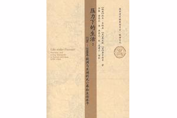 压力下的生活